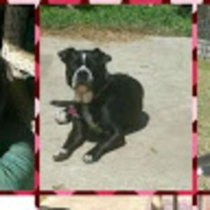 Meet your Posher, Topdog68